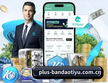 半岛体育 APP